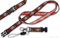 Lanyards 1