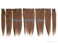 clip in hair extension 1