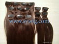 clip in hair extension 2