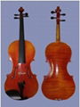 violins