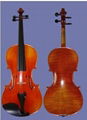 violin