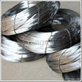 Black Annealed Wire 1