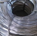 Black Annealed Wire 3