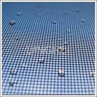 window screen  4