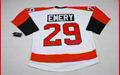 Nhl Jersey-4(Rbk Jersey)  1