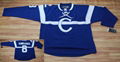 Nhl-Jersey-10(Rbk Jersey)