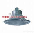 CNW9190    大功率節能高頂燈（CNW9190  ） 2