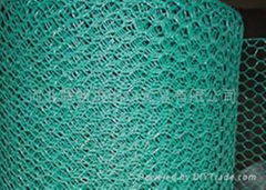 Hexagonal Wire Netting