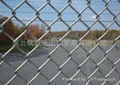 wire mesh fence 1