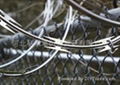 Razor wire fencing