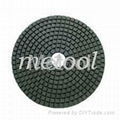 Wet Polishing Pad