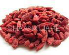 Wolfberry Extract Powder