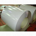 PPGI Coil / Pre-painted Steel Coil  1