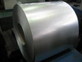 HDG Coil/Hot-dip galvanized coil