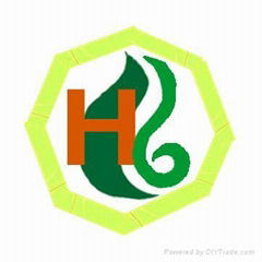 Healthlifestyle, Inc.