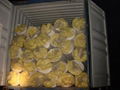 Glass Wool  1