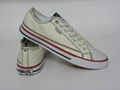 canvas shoes 2