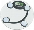 Body electronic scale 1