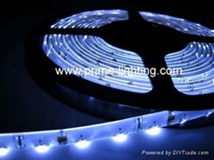 12V DC single color sideview smd 335 flexibler led strips,60led/meter