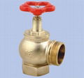 fire landing valve