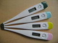 Digital thermometer