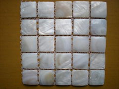 freshwater shell mosaic(on mesh)