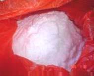 Oxalic Acid