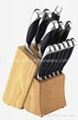 Kitchen Knife Set with Block POM Handle 2