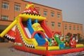 Popular  Inflatable Slide 1