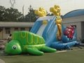 Popular  Inflatable Slide 2