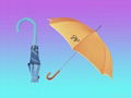 fashion umbrella