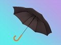 fashion umbrella 2