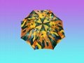fashion umbrella 5