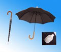 rain umbrella 2