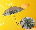 rain umbrella 3
