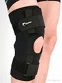 Hinged Knee Stabilizer