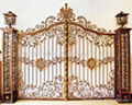 Decorative wrought iron gate 1