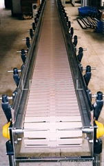 Slat Conveyor 