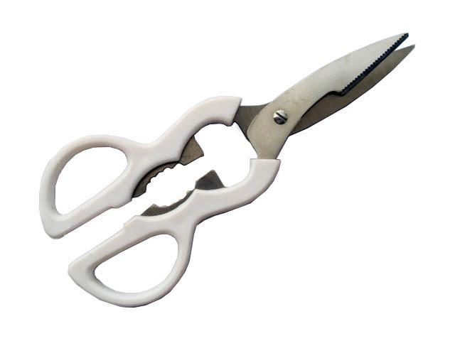 Kitchen Scissors 2