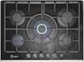 Cast Iron gas stove BT5-G5009