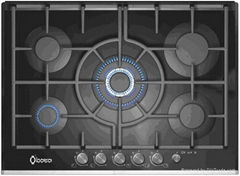 Cast Iron gas stove BT5-G5009