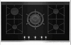 Built-in style gas hob BT5-G5014