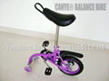 Balance Bike / Swing Bike 1