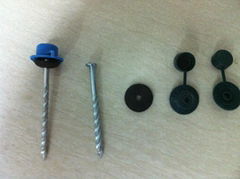 Plastic Cap Roofing Nail 