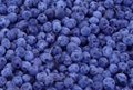 Blueberry Anthocyanin 1