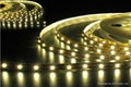 White SMD3528 flexible led strip 60LEDs