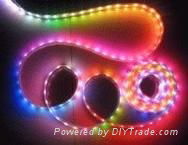 Waterproof 5050/3528 smd flexible led strip 