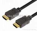 HDMI to HDMI Cable 1