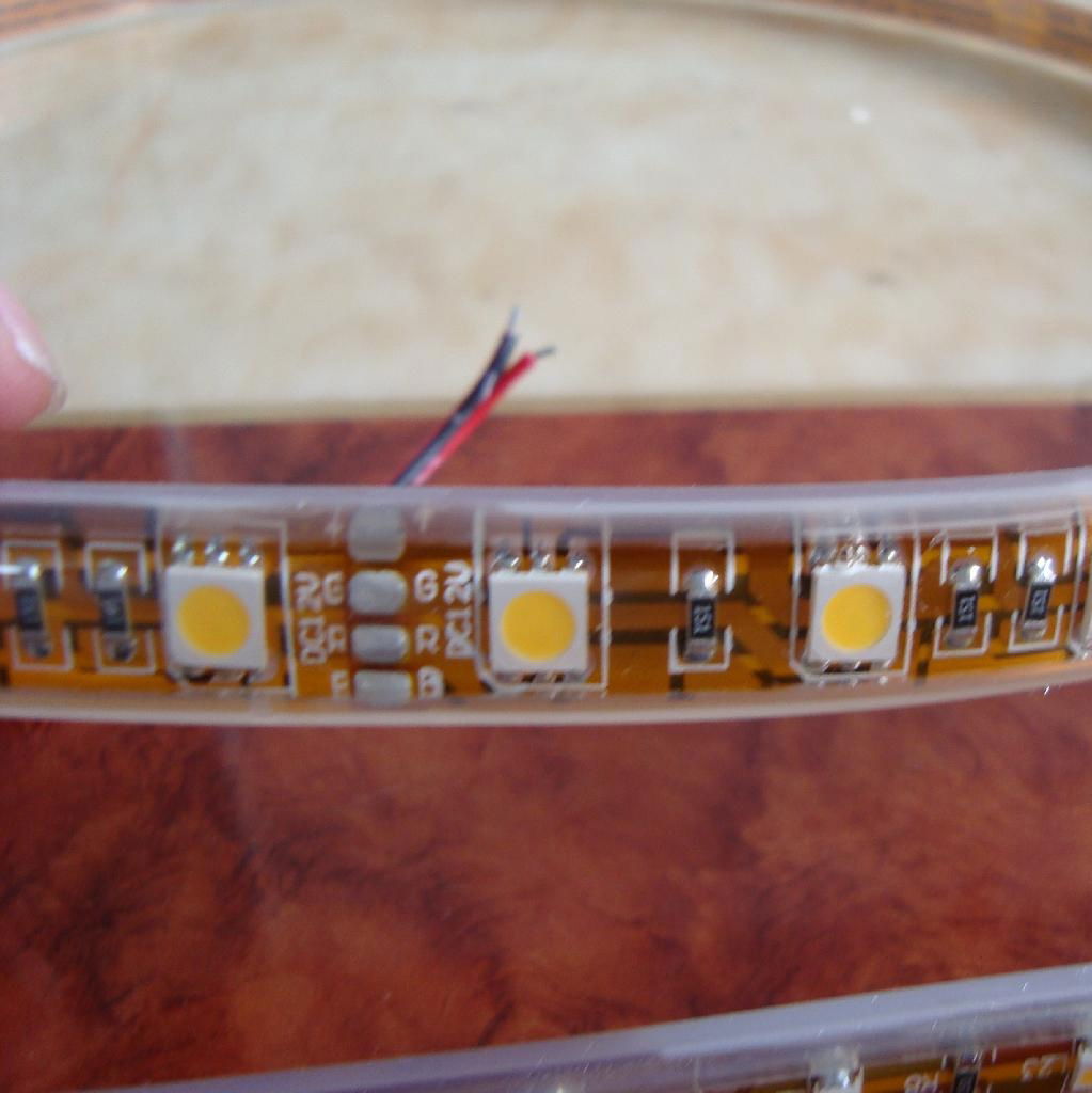 LED strip 5050 SMD  3