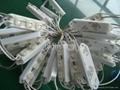 LED piranha Module 2